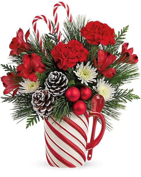 Send a Hug Stripes Bouquet - Cozy up to Christmas with this classic holiday bouquet, lovingly arranged in a hand-painted, food-safe ceramic mug with matching spoon for years of sipping pleasure! Red carnations, red alstroemeria and white cushion spray chrysanthemums are arranged with white pine and cedar. Delivered in a Send a Hug® Sweet Stripes Mug.