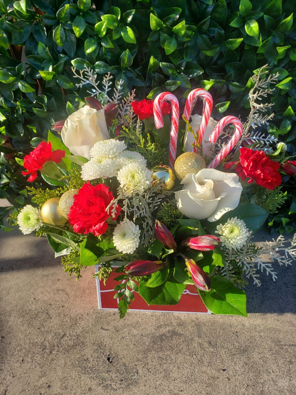 Christmas Party - 3 white roses, 4 red carnation, 3 red astromelia, 2 white buttons, 3 candy cane ,4 gold sphere and 4 gold leaves  in a pretty red wood box 