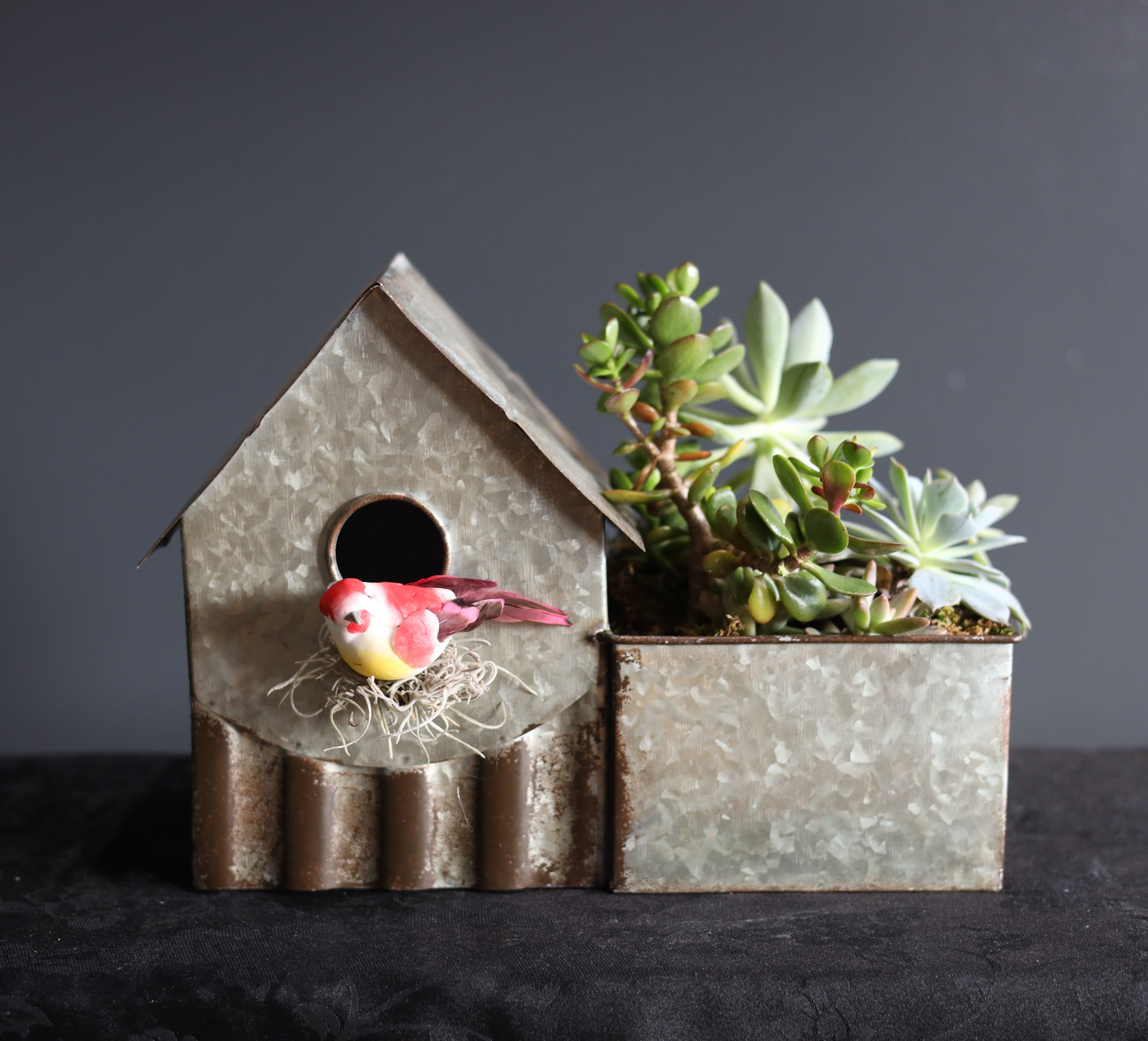 Welcome Home Welcome Home - A sweet tin birdhouse succulent container filled with succulent varieties and bright decorative bird.