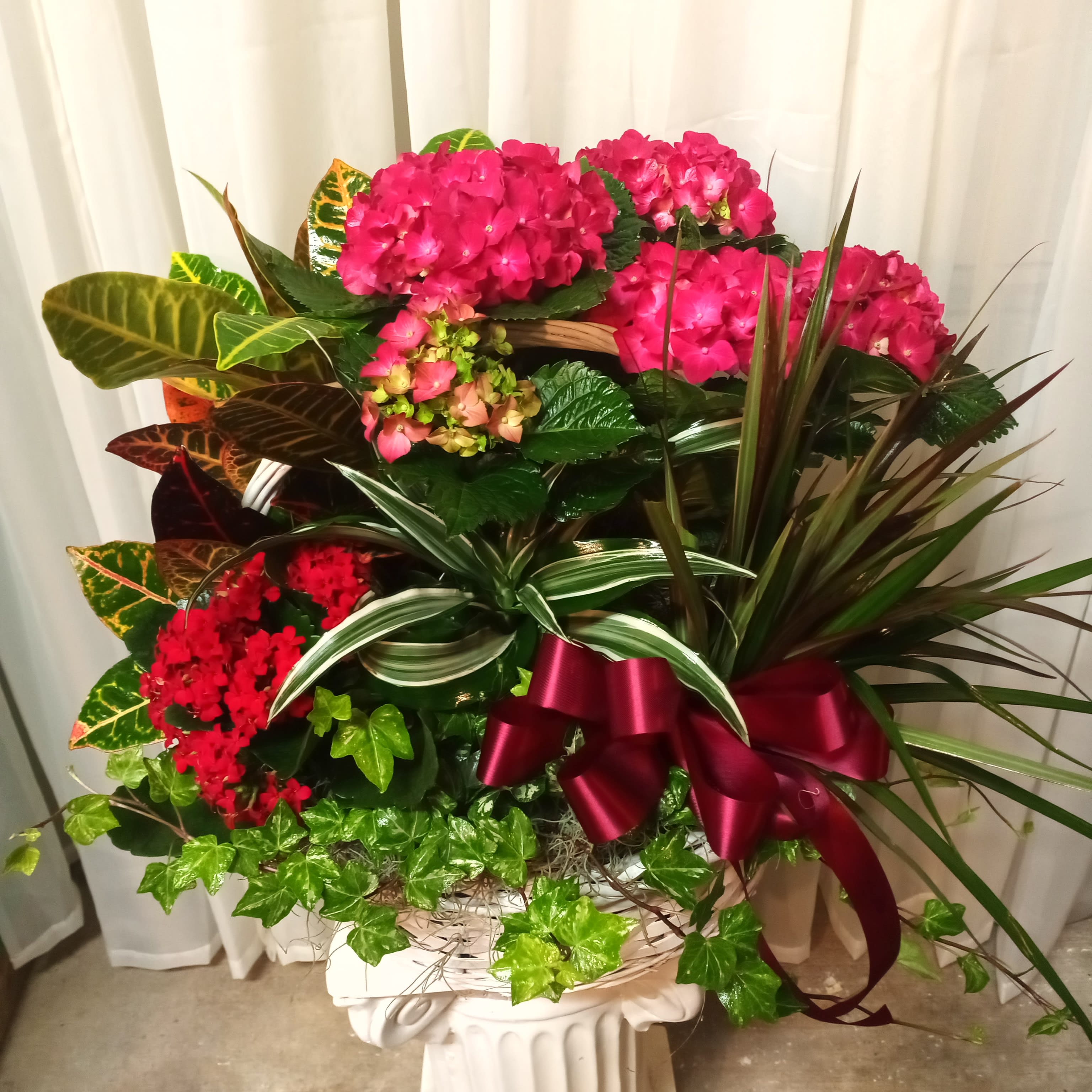 European Garden  - Mixture of blooming and green plants, hand picked just for the occasion