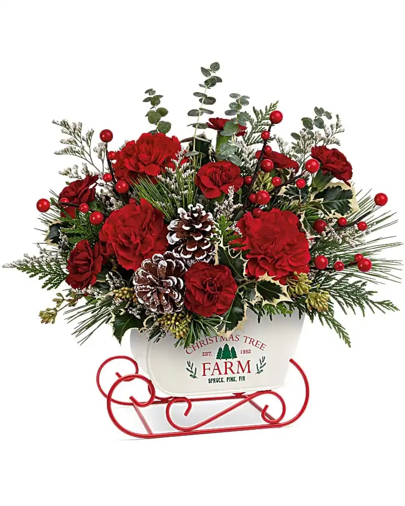 SNOW WHAT FUN BOUQUET - Sledding into a Christmas scene near you is this charming gift of festive red flowers and fresh winter greens, nestled within a nostalgic metal sleigh. Red carnations, miniature red carnations, white limonium and cedar are accented with seeded eucalyptus, spiral eucalyptus, variegated holly and white pine. Delivered in a Snow What Fun Sleigh Keepsake