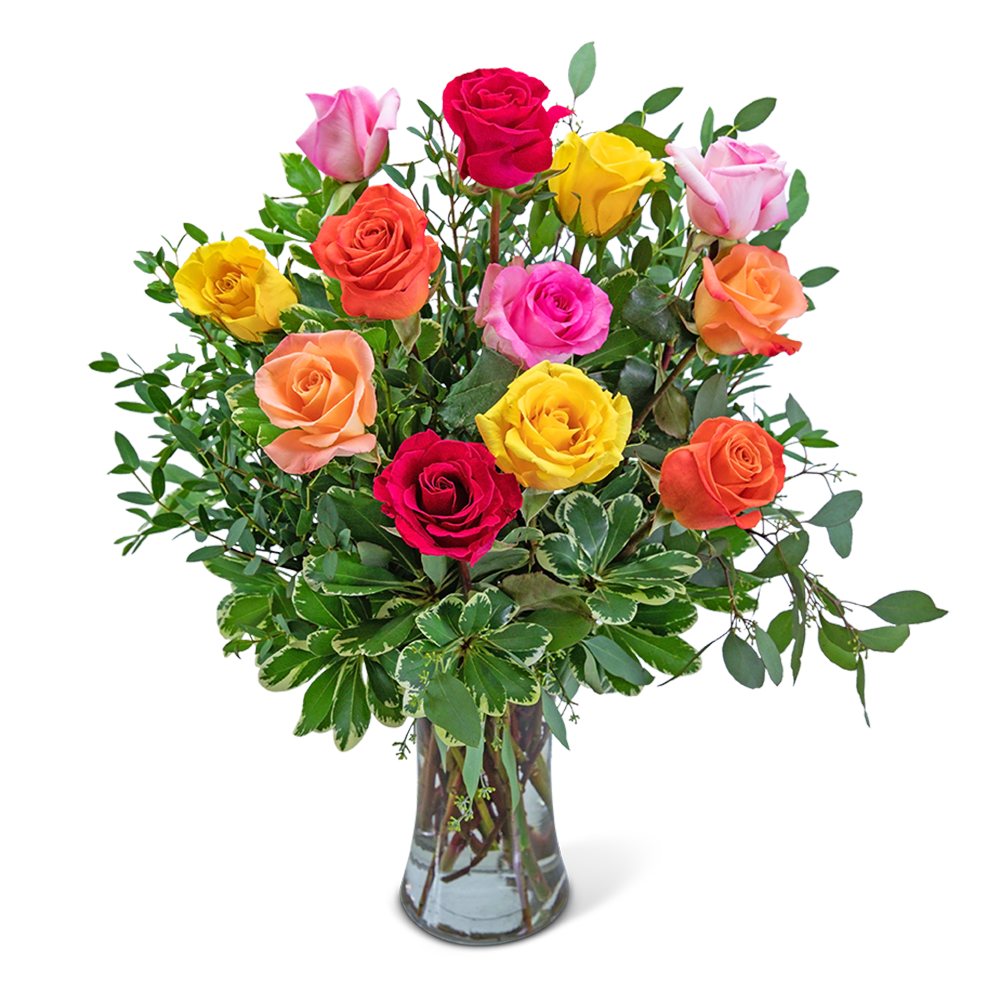 One Dozen Vibrant Roses - Can't decide what color of roses are your favorite? Then we suggest you mix it up a little and enjoy the beauty of our dozen assorted roses! This classic arrangement features one dozen vibrant roses surrounded by pittosporum and Eucalyptus foliage. This versatile arrangement would make a great gift for a birthday, anniversary, or just because!
