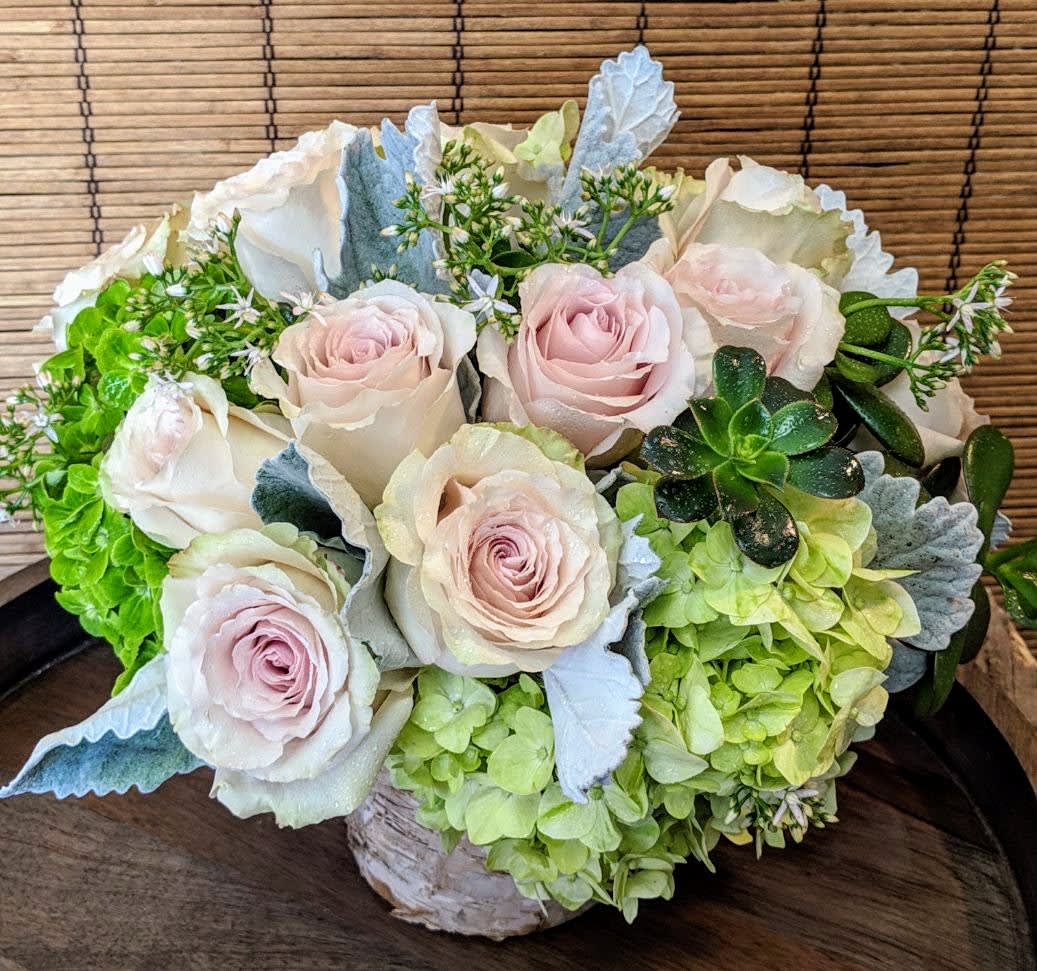 Blush Beauty by VNF - Mint and Emerald Green Hydrangeas, Silver Dusty Miller, are  surrounded by  Blush Pink Roses are sure to please anyone's feminine side !  A  small accent  of green succulents adds an earthy touch.