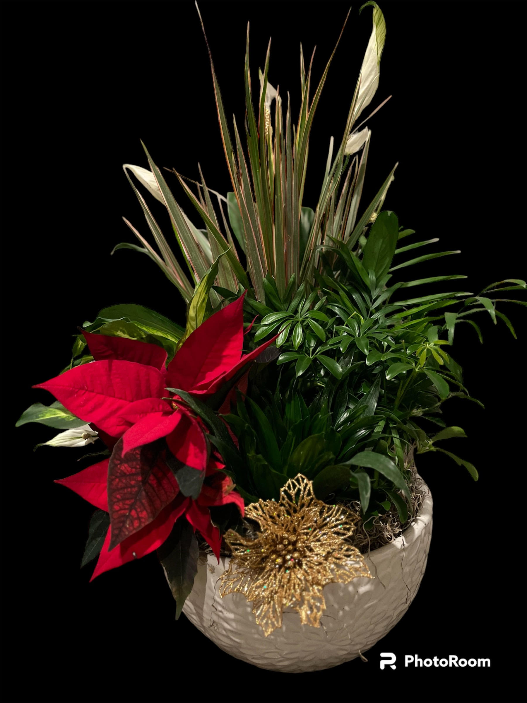 Christmas in Gold Planter Christmas in Gold Planter - Give the gift of Christmas all year. A planter of assorted green and blooming plants is never the wrong way to go, especially for that plant enthusiast in your life. Help them feel happy and warm not only through the holiday season but enjoying your gift all year long. Shown in Premium, standard and deluxe would be smaller.