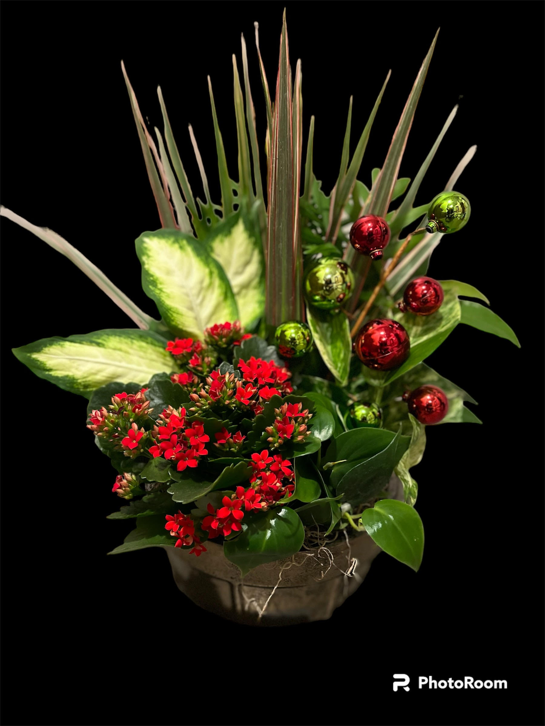 Christmas Brights Planter Christmas Brights Planter - Give the gift of Christmas all year. A planter of assorted green and blooming plants is never the wrong way to go, especially for that plant enthusiast in your life. Help them feel happy and warm not only through the holiday season but enjoying your gift all year long. Shown in Deluxe, standard would be smaller, Premium would be larger.