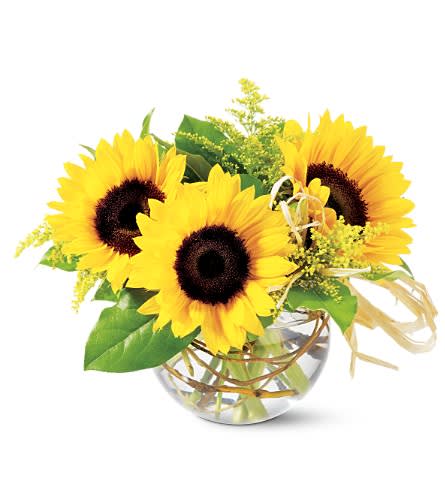 Teleflora's Sassy Sunflowers - Perfect for the desktop or bedside this sweet vase of smiling sunflowers conveys a light happy mood. Sunny sunflowers solidaster and lemon leaves are casually combined in a glass bubble bowl. Approx.: 8&quot;H x 9&quot; W Orientation: All-Around As Shown : TF-F11