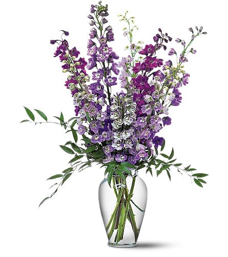 Delphinium Dreams - These dramatic blue delphinium will tell that special someone they're just like a dream come true. Mixed blue and purple delphinium arrive in a bold glass vase. Approximately 20&quot; W x 27&quot; H Orientation: All-Around As Shown : TF13-1
