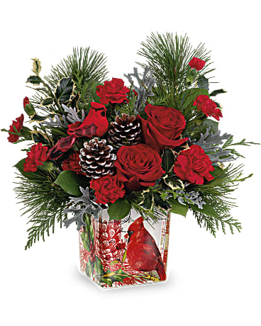 Teleflora's Cardinal Cheer Bouquet Teleflora's Cardinal Cheer Bouquet - Paint a magical holiday scene with this classic Christmas bouquet, arranged in a vintage-inspired glass keepsake adorned with a cheerful cardinal. Later, it's a lovely candleholder.