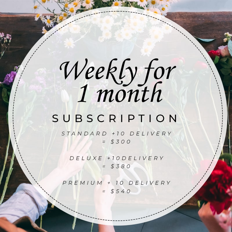 Weekly for 1 Month Subscription Weekly for 1 Month Subscription - Subscriptions are now available! Get a great deal on fresh/seasonal flowers with our custom florist design bouquets. Please let us know under floral instructions if you would prefer a delivery on a Significant Day for an Event/Birthday/Anniversary/Occasion. Please let us know if any elements are of importance to your order by noting them under the floral instructions section at check out or contact us directly. Select what day you would like your delivery to be made during check out. To help reduce footprint, please leave us the old vase on the porch and will gladly pick it up while we deliver your new arrangement. (Unless communicated that you would like to keep it.) You can also use your arrangement for credit toward your future arrangements or massages. – Knot Your Therapist Massage (Located inside Big Buds Florist) Please email or call us to skip or postpone a delivery.