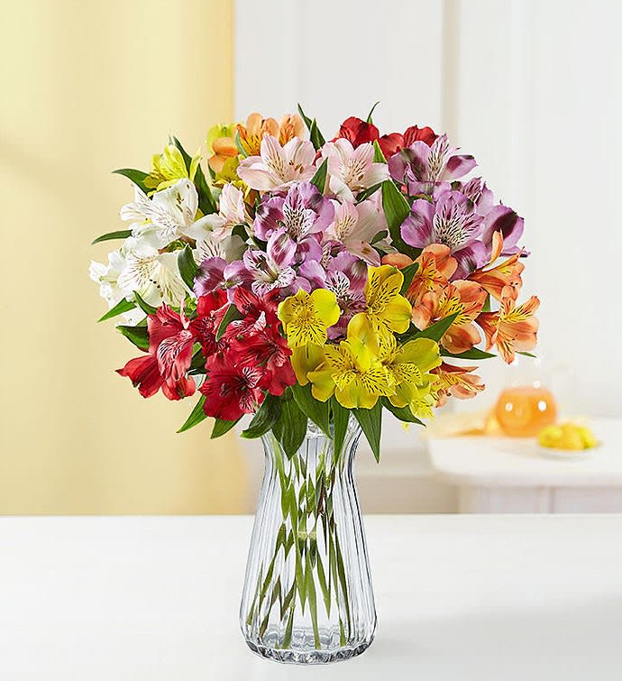 Lily of the incas store