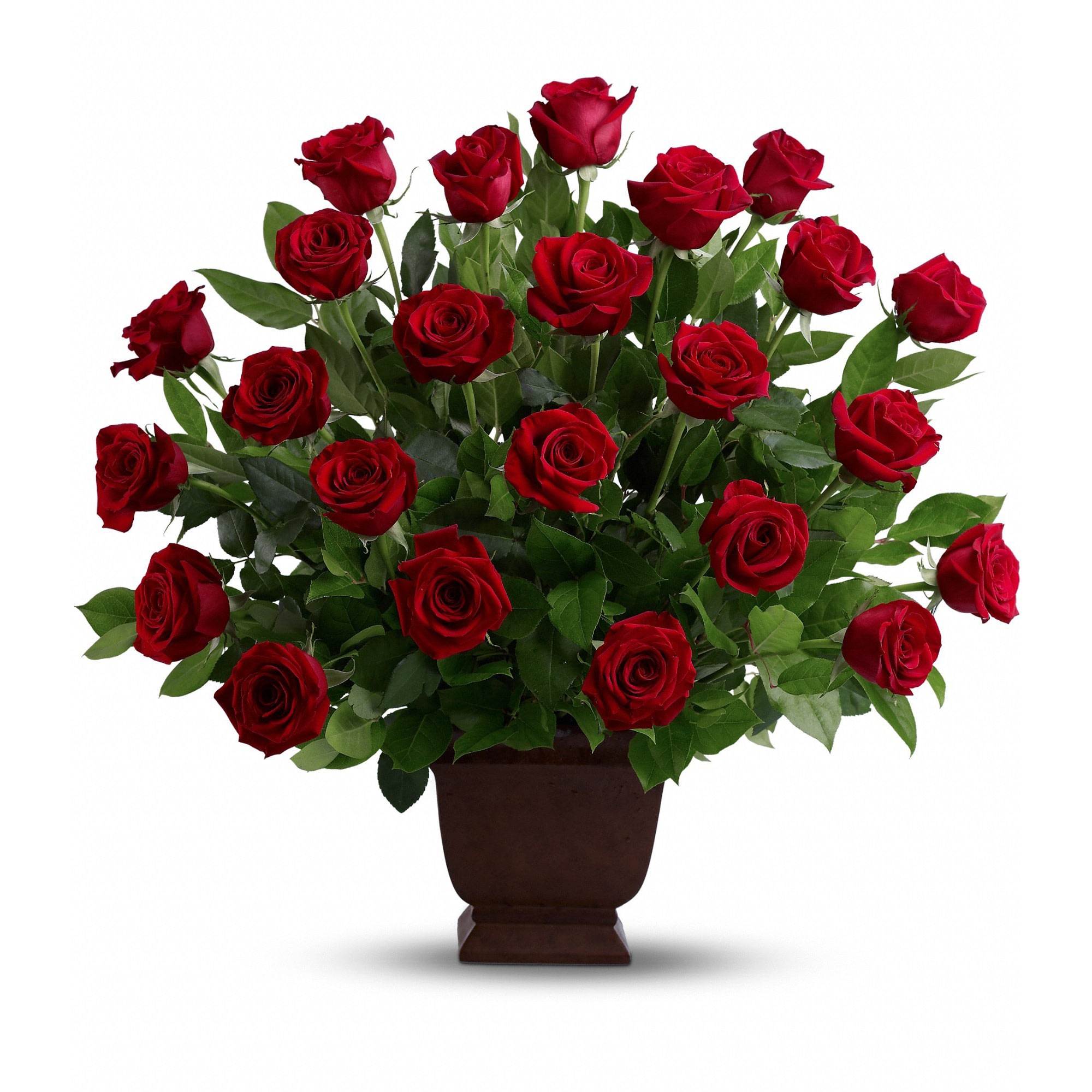 Teleflora's Rose Tribute - Two dozen traditional, ruby-red roses arranged in a classic urn will create an outstanding show of respect for a beloved friend, family member or business associate. An appropriate and timeless gesture of affection and dedication.    Two dozen red roses – accented with greenery – are arranged in a Teleflora Noble Heritage urn.    Approximately 24&quot; (W) x 27&quot; (H)    Orientation: One-Sided        As Shown : TFWEB550    