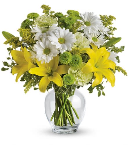 Teleflora's Brightly Blooming - Let the sunshine in with this bevy of bright blooms - yellow lilies green carnations and other sunny favorites beautifully arranged in a classic ginger jar. Perfect for birthday get well thank you - or just to say &quot;Hi!&quot; They'll love it. This impressive bouquet includes yellow asiatic lilies green carnations white daisy spray chrysanthemums and green button spray chrysanthemums accented with assorted greenery. Delivered in a glass ginger jar.Approximately 15&quot; W x 15 1/2&quot; H Orientation: All-Around As Shown : TEV11-2ADeluxe : TEV11-2BPremium : TEV11-2C