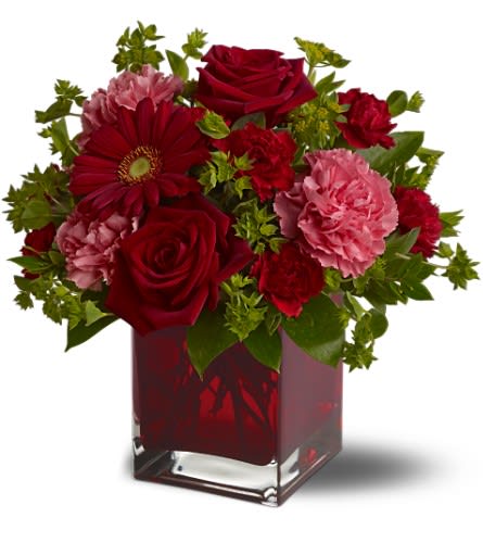Together Forever by Teleflora - Hoping to be together forever? Whether you'd like to send a message of love to a favorite beau best friend or family member this charming crimson-hued bouquet - delivered in a special Teleflora cube vase - will be a lovely sentiment of your affection. A mix of roses carnations and more in shades of red and pink accented with greenery is delivered in a red glass Teleflora cube vase. Approximately 11&quot; (W) x 10&quot; (H) Orientation: All-Around As Shown : TFWEB496