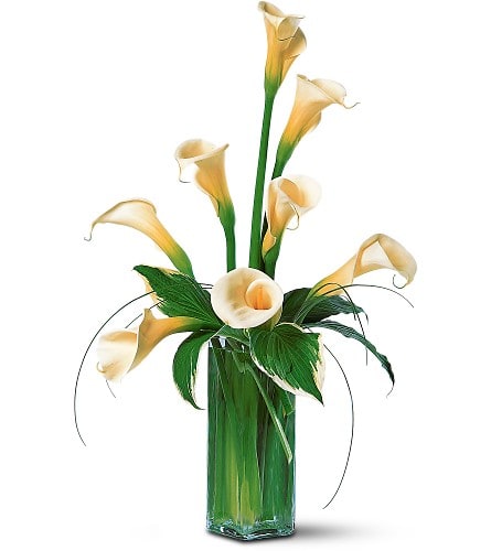 White Callas White Callas - Elegant and grand simple and stylish white callas make quite a statement all their own. White callas with bear grass arrive in a square glass vase.Approximately 18" W x 28" H Orientation: One-Sided As Shown : TF25-1