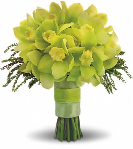 Green Glee Bouquet Green Glee Bouquet - Steal the limelight with this chic chartreuse bouquet of cymbidium orchids hydrangea and delicate pieris japonica. A stunning green array of cymbidium orchids hydrangea and pieris japonica.Approximately 13" W x 14" H Orientation: N/A As Shown : T194-8A