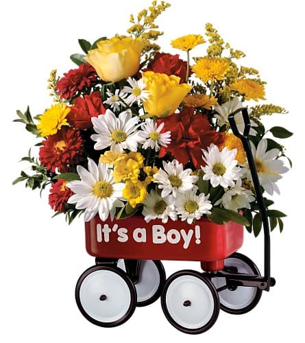 Teleflora's Baby's First Wagon - Boy - Every little boy or girl loves a little red wagon and now you can give them their first one. Chrysanthemums carnations and roses arrive in an adorable miniature wagon. Boy or girl versions available. Indicate preference in the special instructions field at checkout.Approximately 10&quot; W x 11-1/2&quot; H Orientation: One-Sided As Shown : TF47-6