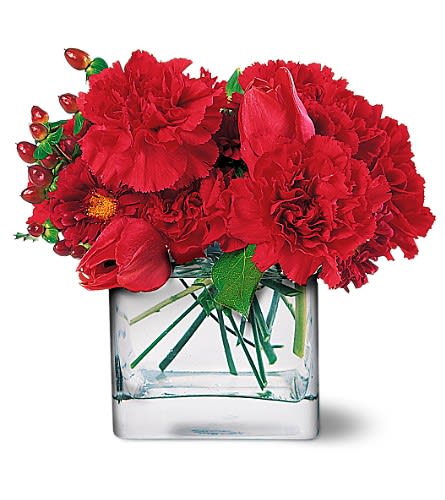 Passionate Reds Passionate Reds - Loving someone? Show them how much with this passionate arrangement of red blooms. Red asters carnations tulips and hypericum arrive in a square glass vase.Approximately 9" W x 9" H Orientation: All-Around As Shown : TF16-3