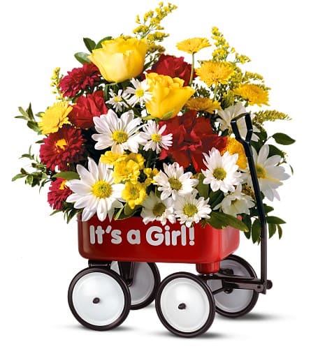 Wagon for baby girl shop