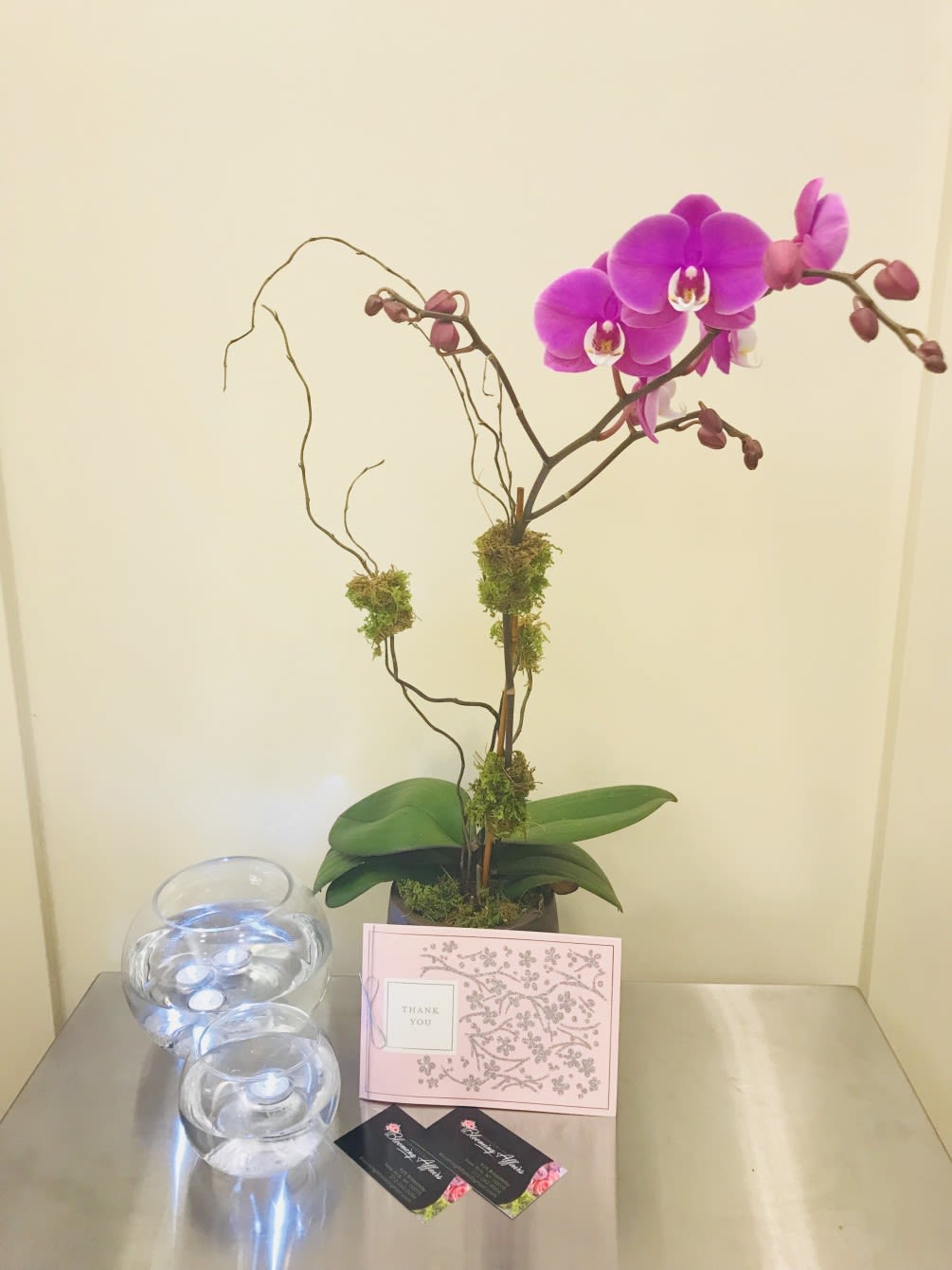 Bloom4013 - Orchid Plant