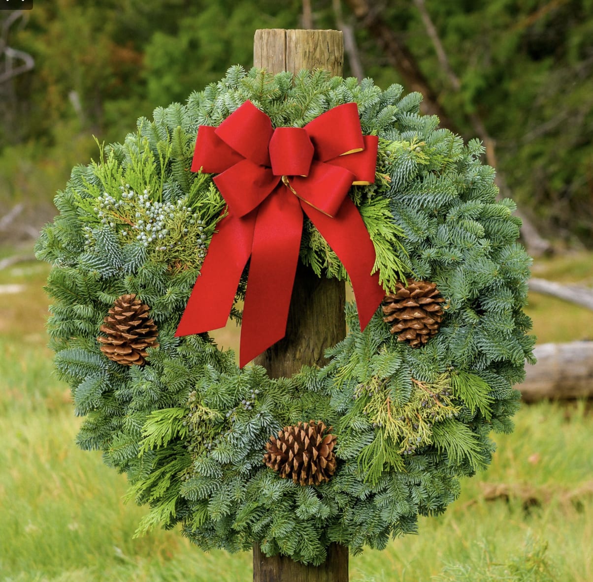 Fresh Christmas wreath by Dean's Florist