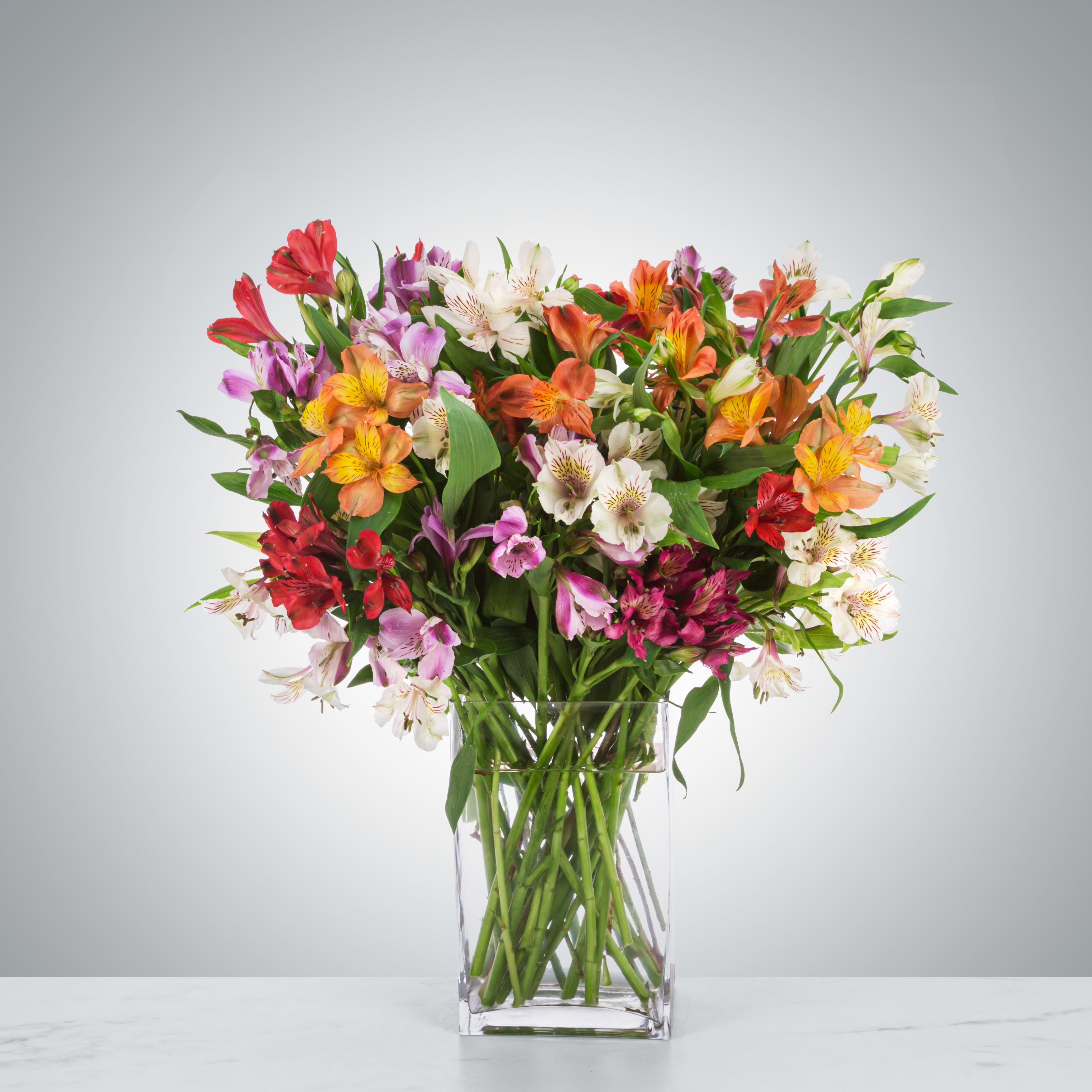 Amazing Alstroemeria by BloomNation™ - Alstroemeria often represents mutual support. This makes the arrangement the perfect choice for saying thank you or showing appreciation. Send this to your best friend, your family, or your coworker who always has your back.  1st Image: Standard 2nd Image: Premium