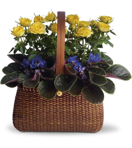 Garden To Go Basket - It's no secret why this garden is such a great gift. An adorable basket is chock full of lovely flowering plants. It's the perfect arrangement for carrying your good wishes. Two beautiful purple African violets and two yellow rose plants are delivered in a delightful Nantucket basket with handles. Go with this garden and you'll be golden.Approximately 13 3/4&quot; W x 12 3/4&quot; H Orientation: All-Around As Shown : T92-2A
