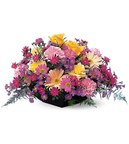 Garden Centerpiece - Celebrating an anniversary? Planning a party for someone else? This gorgeous centerpiece bouquet with its colorful flowers will make it even more memorable. Pastel flowers including asters carnations chrysanthemums and gerberas delivered in a low bowl. Approximately 20&quot; W x 12&quot; H Orientation: All-Around As Shown : TF118-1