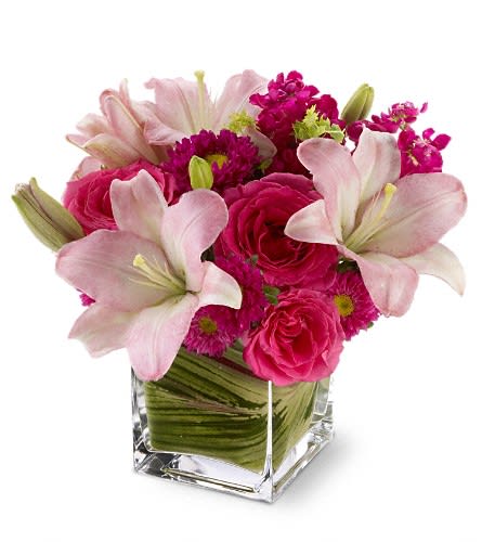 Teleflora's Posh Pinks - Show impeccable taste when you send this stylish bouquet of hot pink roses pale pink lilies and mixed blossoms arranged in a modern glass cube vase. Pretty posh and perfectly high-class! Hot pink roses and Matsumoto asters pink LA hybrid lilies and burgundy stock arrive in a clear glass Teleflora cube vase lined with variegated ti leaves.Approximately 11 1/2&quot; W x 11&quot; H Orientation: All-Around As Shown : T05N100ADeluxe : T05N100BPremium : T05N100C