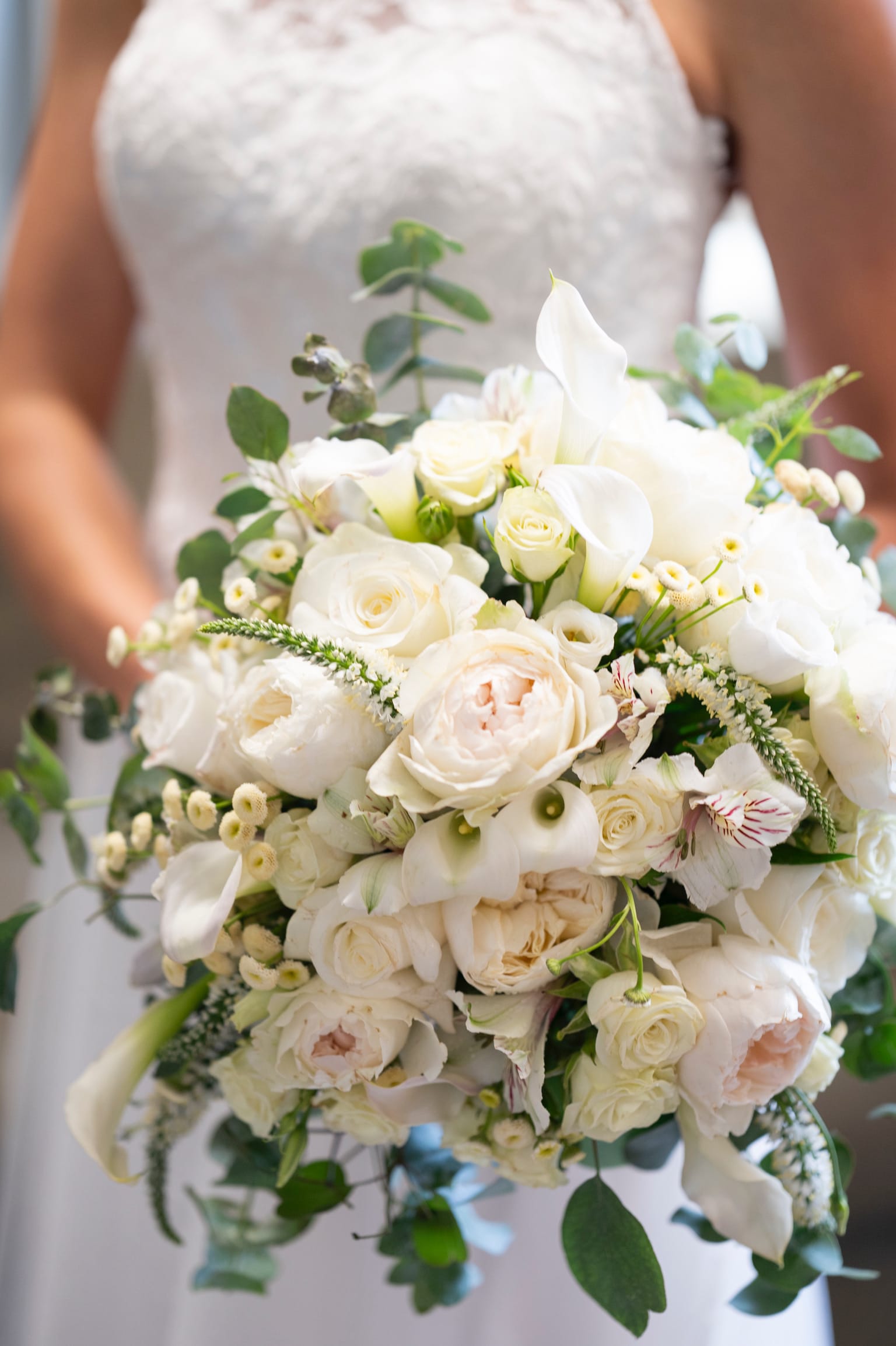 Tori's bridal bouquet - Beautiful white garden and spray roses, cala lilies, alstroemeria and other fillers classical round bouquet