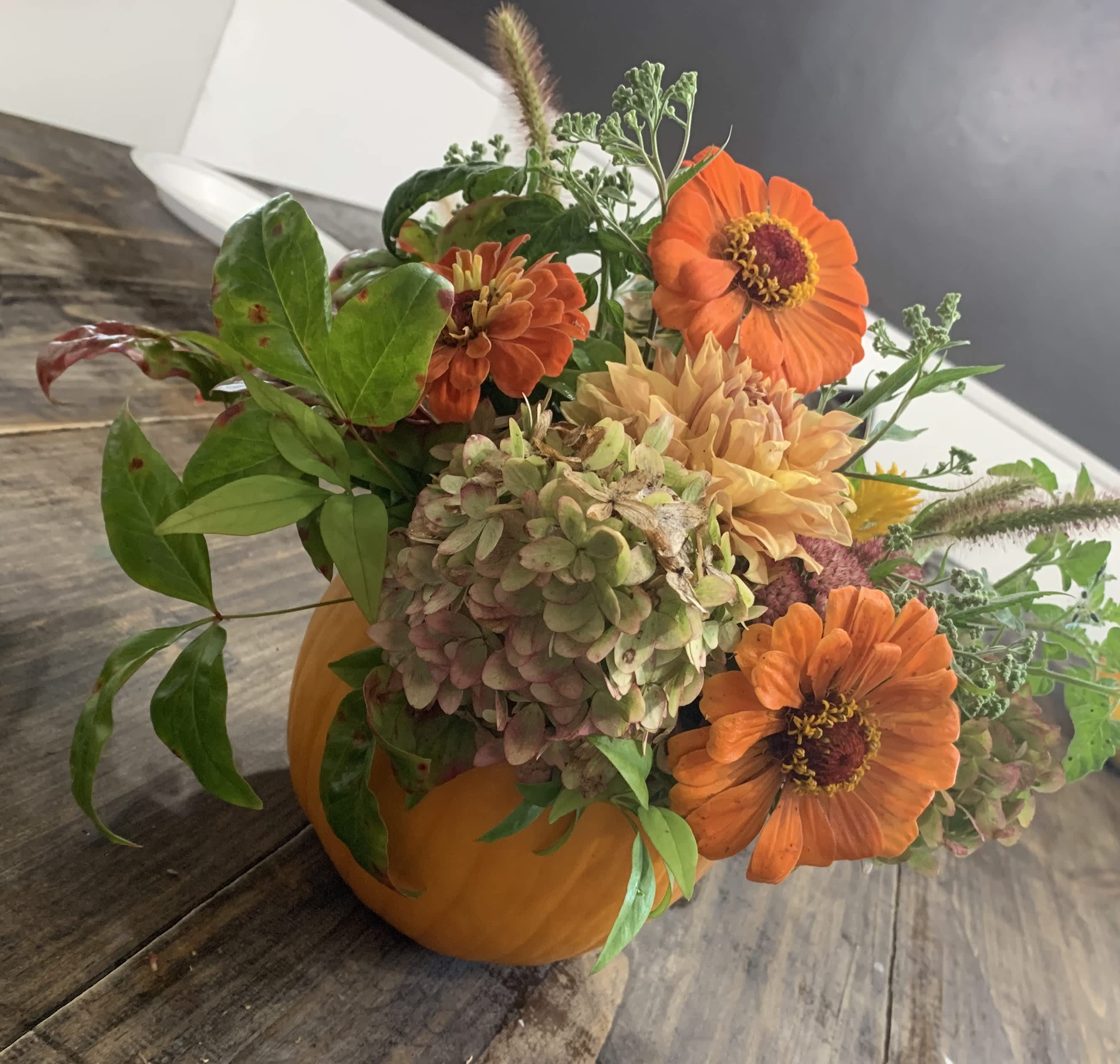Pumpkin filled with antique hydrangeas, goldenrod, zinnias - Pumpkin arrangement filled with antique hydrangeas, goldenrod, zinnias and other seasonal blooms.