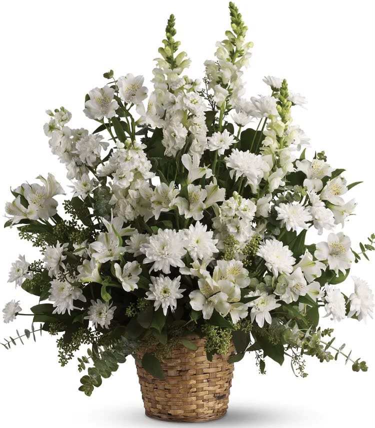 Serene Simplicity - A large basket filled with an all white assortment of snapdragons daisies and alstroemeria make a long lasting and serene sentiment. 