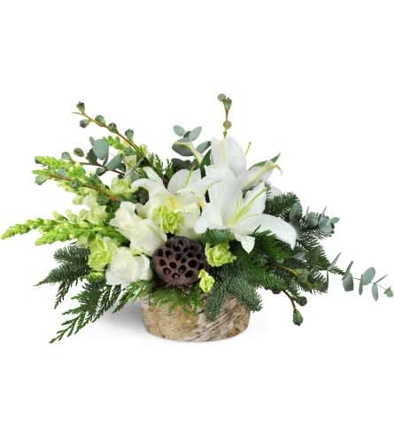 Modern Holiday Display Modern Holiday Display - Chic, stylish, and simply exquisite, these classic blooms are sure to bring holiday joy to all! Create a special memory that will never fade with our Modern Holiday Display™. White lilies, white carnations, green mini carnations, snapdragons, lotus pods, eucalyptus, and pine are uniquely arranged in a birch-covered container.