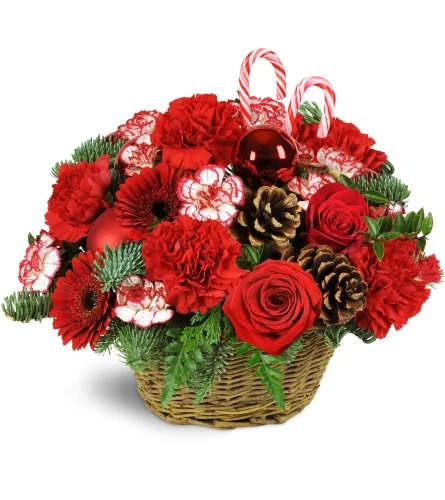 Basket Full of Christmas Time Basket Full of Christmas Time - Santa approved! Send a little holiday cheer that's loud enough for all to hear. For someone who could use some festive holiday flair, this basket full of Christmas spirit is bursting with joyful blooms. Red carnations, red mini Gerbera daisies, peppermint mini carnations, noble fir, cedar, and red ornament baubles are arranged in a classic woven basket.