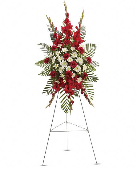Strength and Solace - Red glads and carnations with white daisies