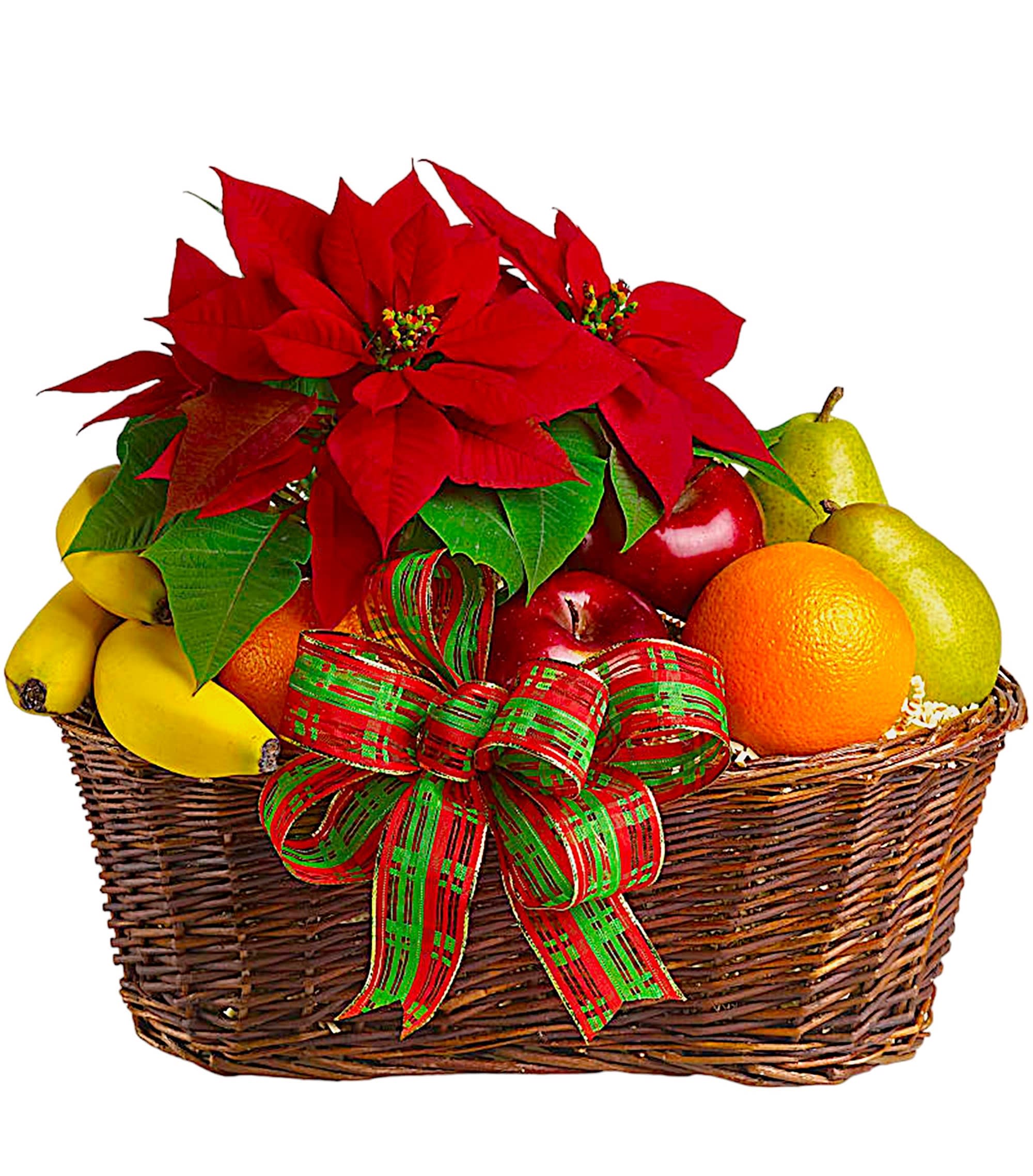 Fruit and Poinsettia Gift Basket - A feast for the eyes and the mouth! Send someone all the joys of the season with this gift basket of fresh fruit topped with a red potted poinsettia plant. It's an all-natural Christmas gift that won't soon be forgotten!  A 15-inch basket is filled with 2 red apples, 3 bananas, 2 green pears and 2 oranges, plus a 4-inch potted poinsettia plant. A festive ribbon adds seasonal style.  DETAILS BASKET INCLUDED Item #NFCH-135-1  FLORIST-TO-DOOR  BLOOM DETAILS Poinsettia Plant  The Standard Arrangement is approximately 14&quot;H x 16&quot;W. (SHOWN) The Deluxe Arrangement is approximately 15&quot;H x 17&quot;W. The Premium Arrangement is approximately 15&quot;H x 17&quot;W.  Designed by our award-winning florist designers.  HOW TO CARE FOR YOUR PLANT 1. Follow care tag instructions.  Please Note: The arrangement pictured reflects an original design for this product. While we always do our best to follow the original flower recipe, the exact flower or container is sometimes unavailable. We may replace items of equal or greater value to deliver the freshest flowers possible while keeping the style &amp; color palette. We assure you that we will create a beautiful, fresh flower arrangement with only the best quality flowers to keep you as a loyal customer.  How to place an order? We have several options. 1. You can place an order directly on this secure website... OR 2. You can call in your order by dialing: (323) 262 - 9238... OR 3. You can visit our store (appointment recommended 323.262.9238)  NINFA'S FLOWERS 2405 WHITTIER BLVD. LOS ANGELES, CA. 90023  ATTENTION: *Please note that on busy holidays, Valentine's Day, and Mother's Day, we cannot verify if the recipient received the flowers until the following day because our drivers don't turn in their signature delivery tablets until the following day. You can verify delivery on the website after 10:00 pm, call 323.262.9238 the following day after 10:00 am, or contact the recipient directly if you haven't received a call from them. Thank you for your patience and understanding.