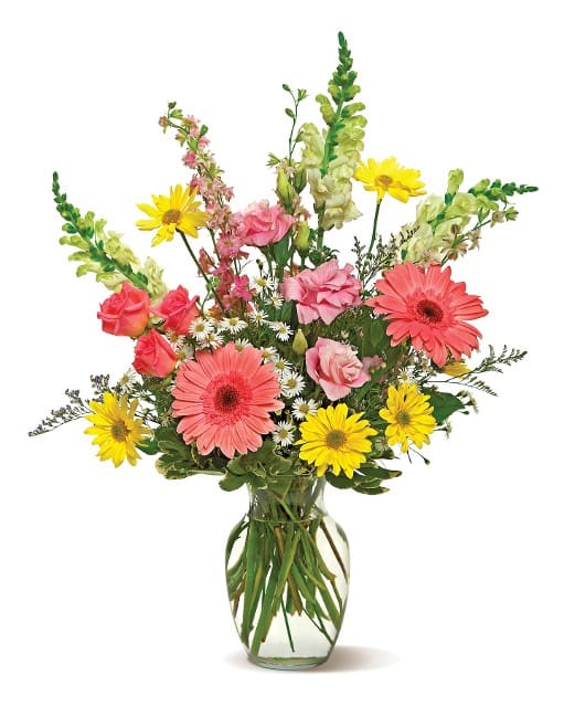Spring Bouquet - Gerber, daisies, roses, snapdragons