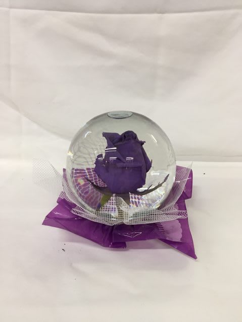 PURPLE CRYSTAL PURPLE CRYSTAL - PURPLE CRYSTAL