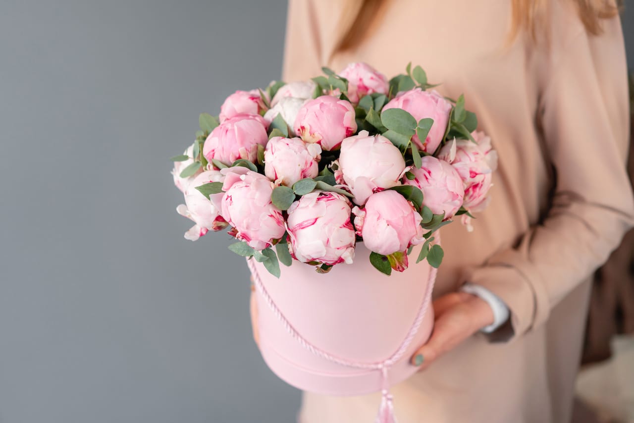 Luxury Unveiled: Our Bloom Box of Peonies - Indulge in opulence with our exquisite bloom box featuring lush peonies. Immerse yourself in the captivating allure of these velvety petals elegantly arranged in a sleek box, creating a luxurious centrepiece that radiates beauty and sophistication. Elevate your moments with the timeless charm of our luxury peony bloom box.  Ingredient:  Peonies (Local May-Sept). All colours, for the rest of the year, are imported. Container:  Luxury Box  