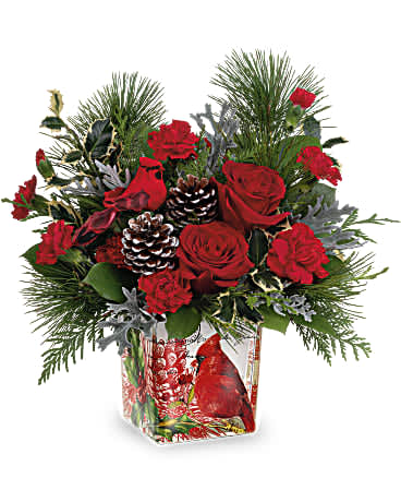 Teleflora's Cardinal Cheer Bouquet - An instant Christmas classic! Artistically arranged in a vintage-inspired cube vase with charming cardinal, this rustic rose bouquet brings holiday style to any room of the house. Next Christmas, use the cube as a candleholder! Red roses, red carnations, miniature red carnations and cedar are arranged with silver lace dusty miller, white pine, lemon leaf and variegated holly. Delivered in a Cardinal Cheer Cube.
