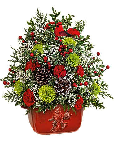 Teleflora's Cardinal Heirloom Tree - A modern classic, this nostalgic cardinal serving dish is hand-painted and filled with a festive floral tree perfect for any holiday occasion. This arrangement includes miniature red carnations, green cushion spray chrysanthemums, gypsophila, oregonia and cedar. Delivered in a Classic Cardinal Bowl.