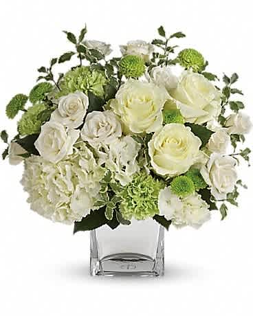 Teleflora's Shining On Bouquet - Let your love shine! No matter the recipient or the occasion, this stunning monochromatic mix of hydrangea and roses, hand-delivered in a shimmering silver cube, is destined to delight and inspire. This bouquet of blooms includes white hydrangea, white roses, white spray roses, green carnations, green button spray chrysanthemums and pitta negra. Delivered in a silver mirrored cube vase.
