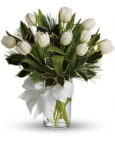 Tulips And Pine - For a wintertime bouquet that's as pure as the driven snow, send this unexpected gift of ten white tulips, accented with aromatic white pine, and adorned with a silver ribbon. A simple pleasure for a peaceful season. 10 white tulips and white pine are delivered in a clear glass vase that's accented with a silver ribbon.