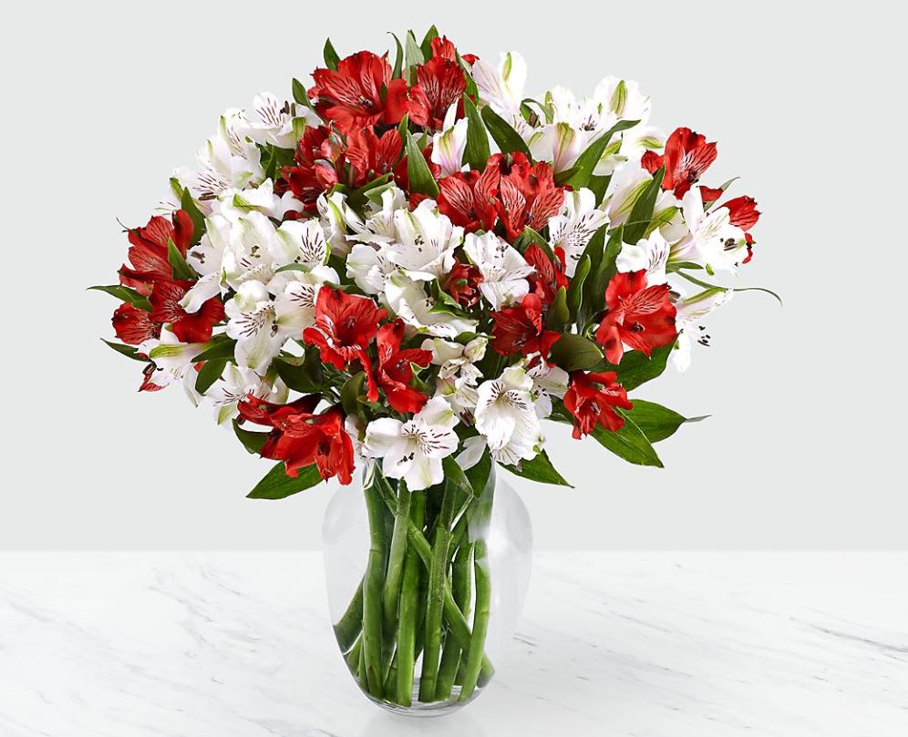 CHRISTMAS PERUVIAN LILLIES CHRISTMAS PERUVIAN LILLIES - Let it snow Peruvian Lilies. An abundant 75 blooms of alstroemeria, known as Peruvian Lilies, spread the word that Santa Claus is coming to town. This burst of Christmas color will elegantly accent any table and makes for an exhilarating centerpiece. Approximately 20" H Clear glass vase included