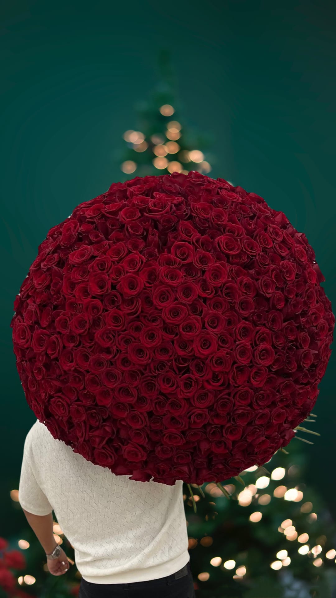 500 red roses 100 cm - Need to be ordered in advance