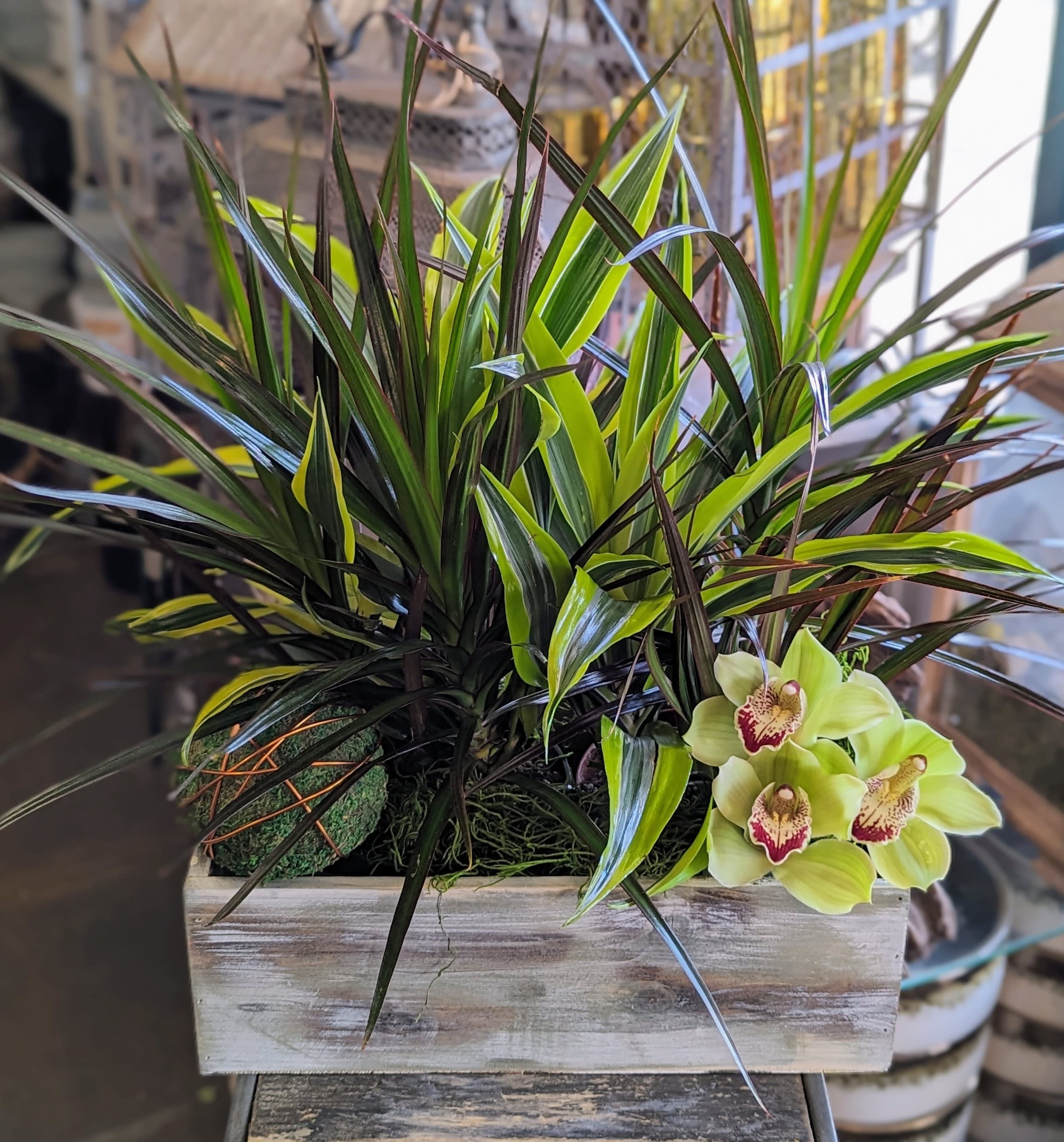 Lush Modern Planter - Assorted plants in a wooden box, accented with a moss sphere wrapped in copper deco wire  and cut orchid blossoms.