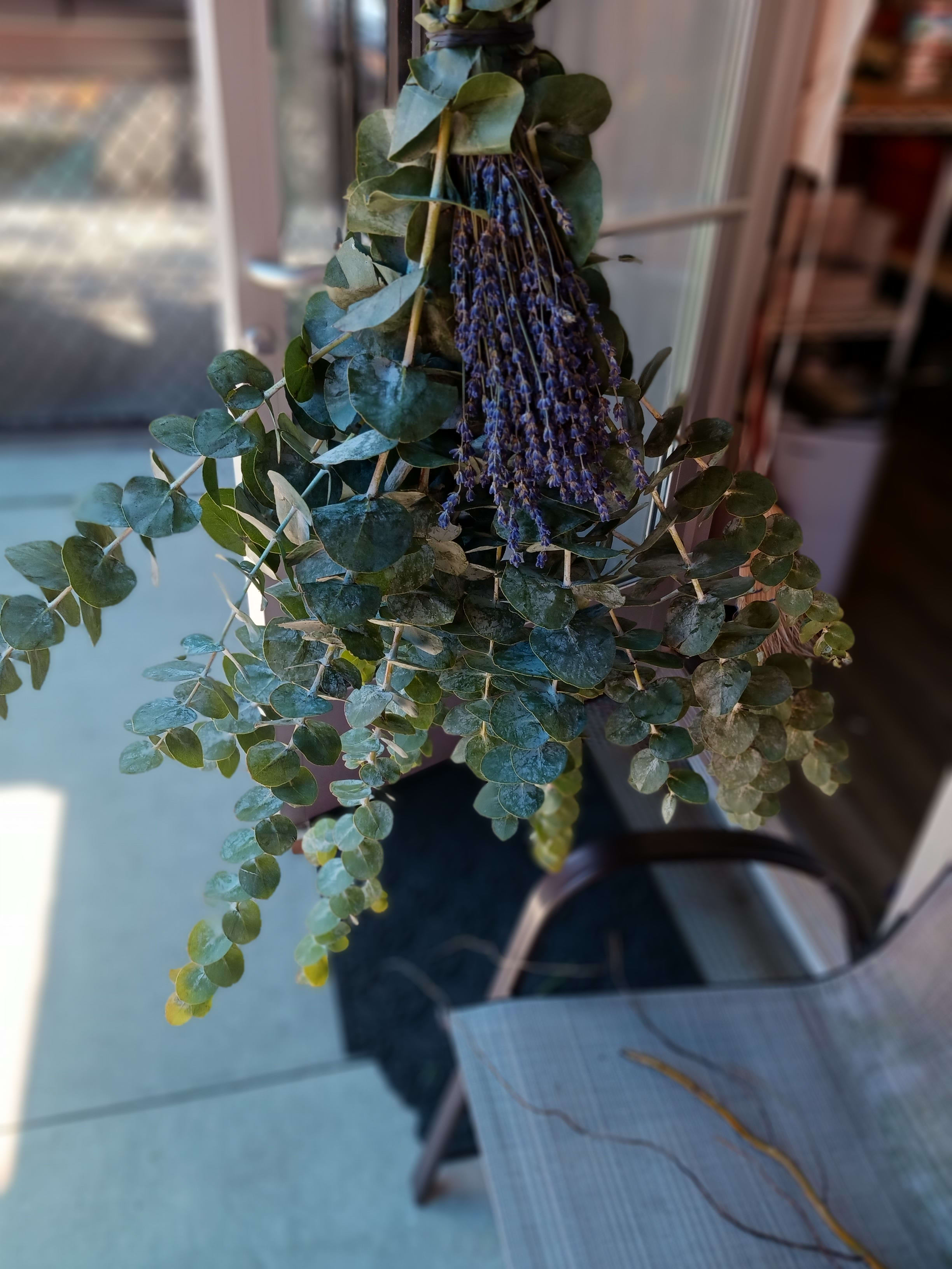 The Royal Bundle - A bundle of Lavender and Eucalypus wrapped with green twine so you can hang it right on your shower head. Breathe better.