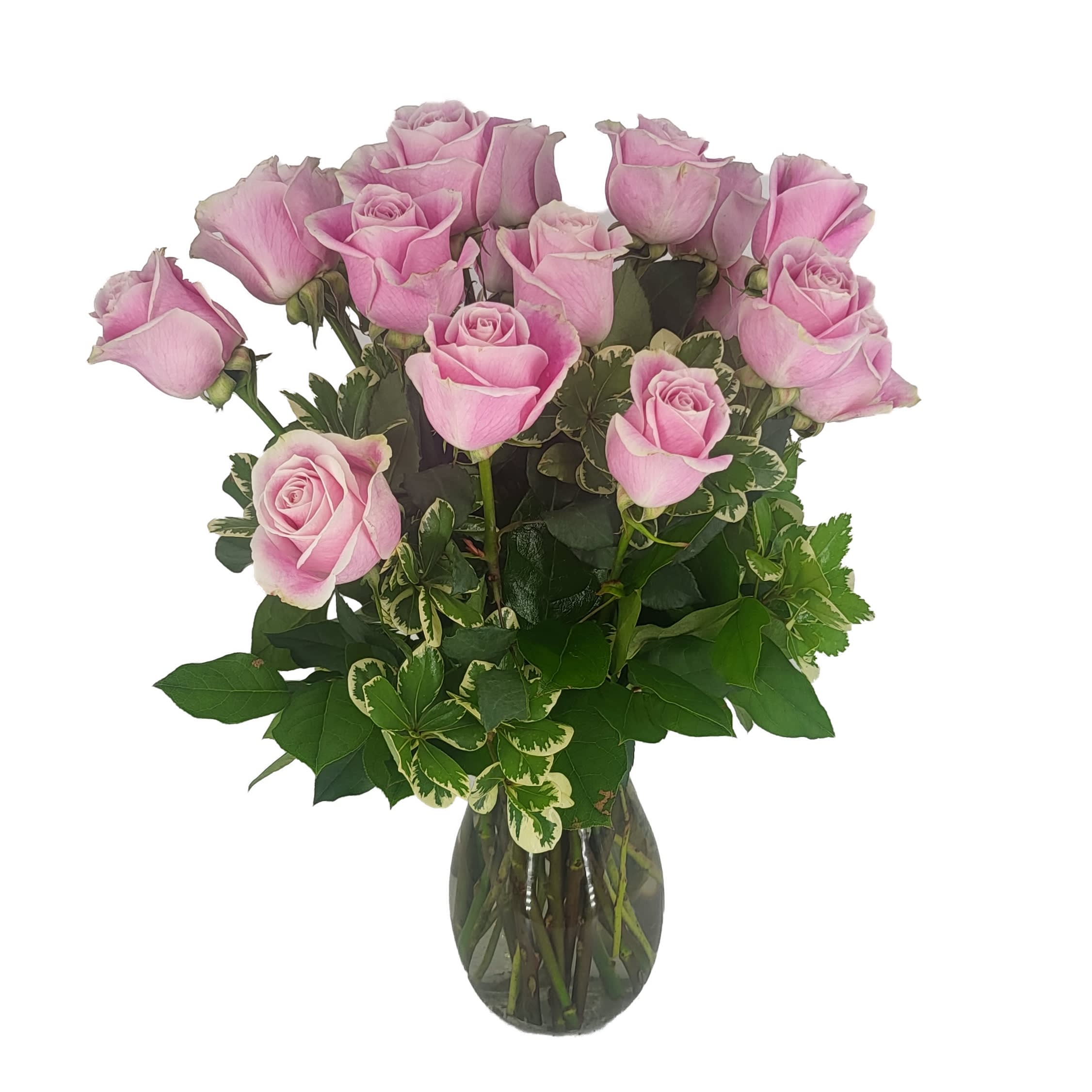 Pink Roses - One Dozen Pretty, pink and perfect. There's nothing like long-stemmed pink roses to show your affection.