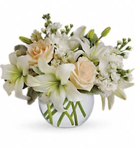 Isle of White - Like a vacation for the senses, this lovely bouquet delivers an oasis of beauty and elegance. Soothing, serene and very special.  Crème roses, white asiatic lilies and stock stem are incredibly arranged in a bubble vase. When it comes to bouquets, this is definitely the right way to do white.  Approximately 14&quot; W x 11 1/2&quot; H  Orientation: All-Around  As Shown : T55-3A Deluxe : T55-3B Premium : T55-3C