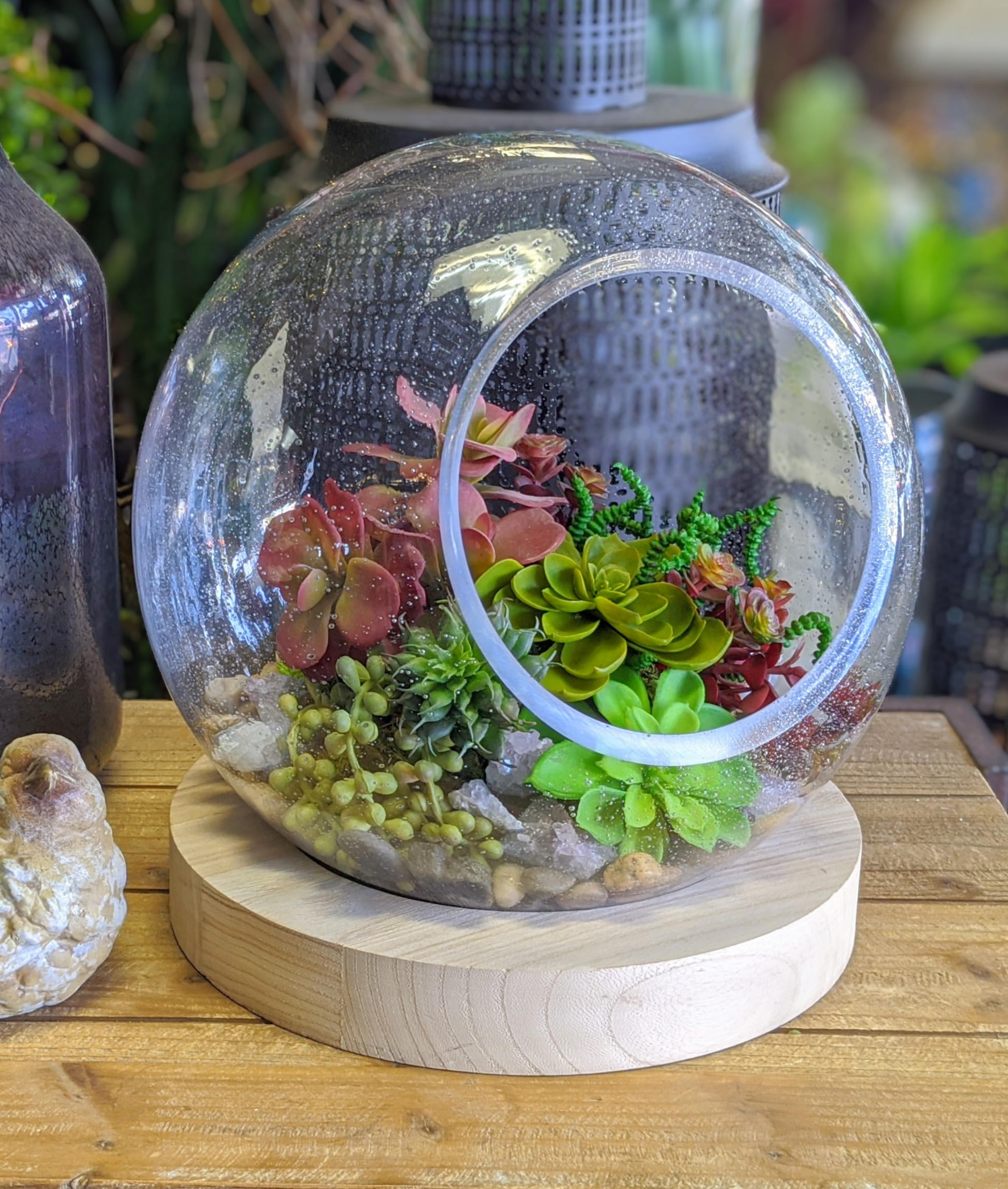 Faux Succulents in Glass Terrarium With Wood Base - Artificial succulents, accented with stones and moss in a glass terrarium that rest est on a wood base. It measures approximately 10 inches wide by 12 inches tall Please note, this is not a fresh arrangement, it is artificial.