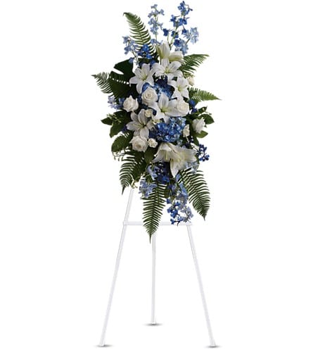 Ocean Breeze Spray - Express deep condolences and strong hopes for the future with an elegant tribute that conveys admiration affection and respect. Lovely flowers such as white asiatic lilies and roses blend with blue delphinium and hydrangea set amidst ferns.Approximately 21&quot; W x 39&quot; H Orientation: One-Sided As Shown : T246-2A